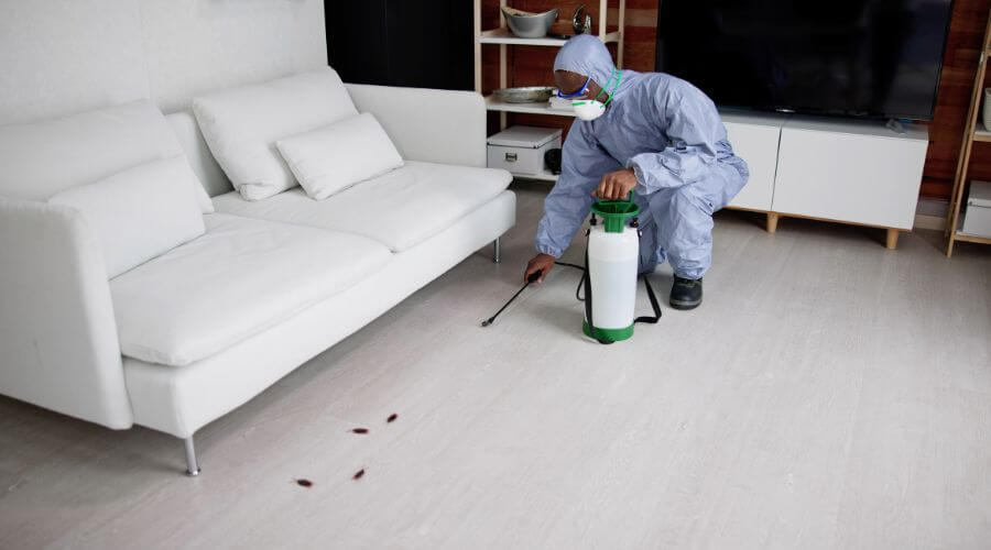 Why choose Bed Bug Inspection Gunter for bed bug inspection in Gunter